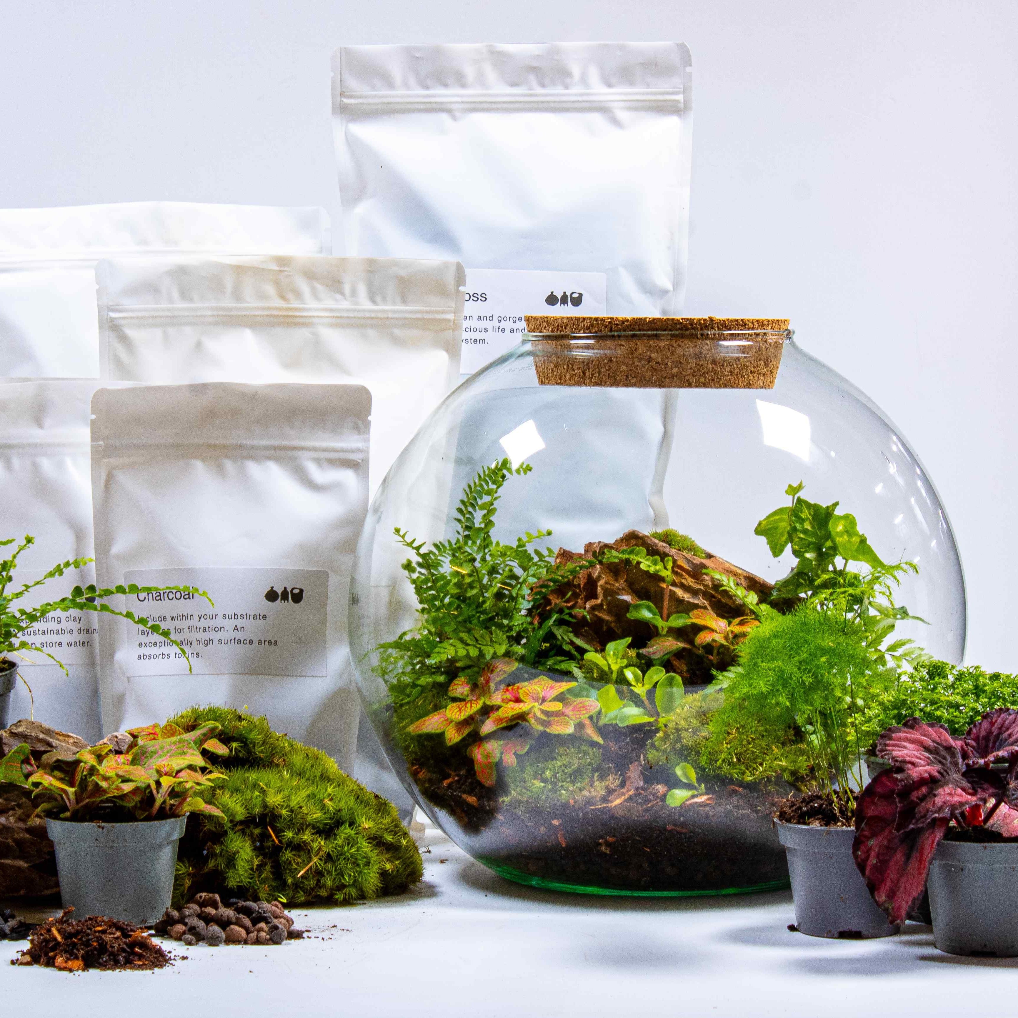Globe Terrarium Kit | For Sale | ome Globe Terrarium Kit | For Sale | ome