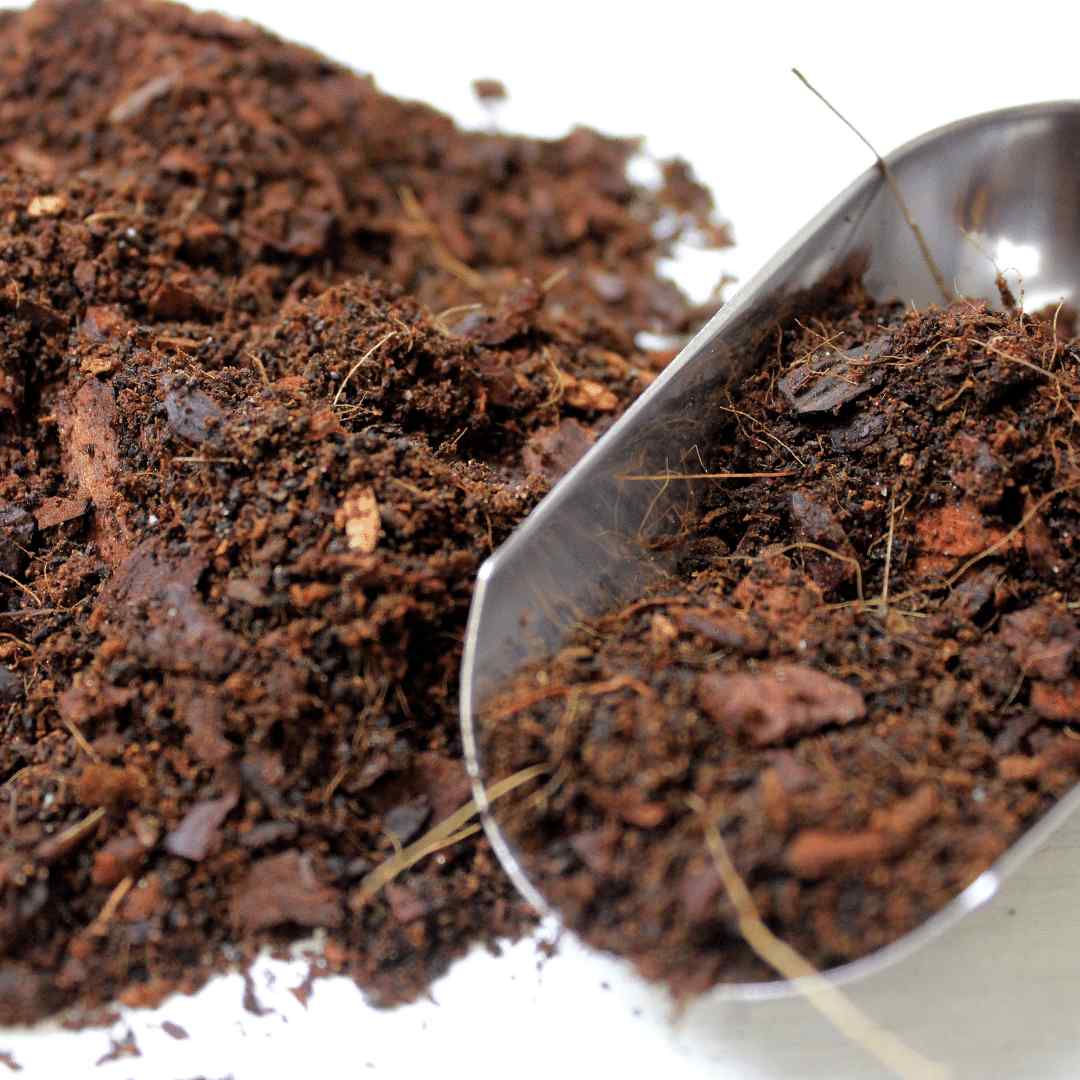 soil for terrarium plants Buy Terrarium Soil | For Sale