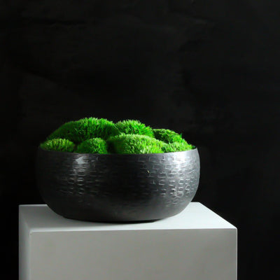 Preserved moss bowl for sale