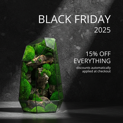 BFCM2025 International