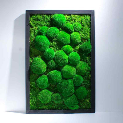 Preserved moss wall hanging 