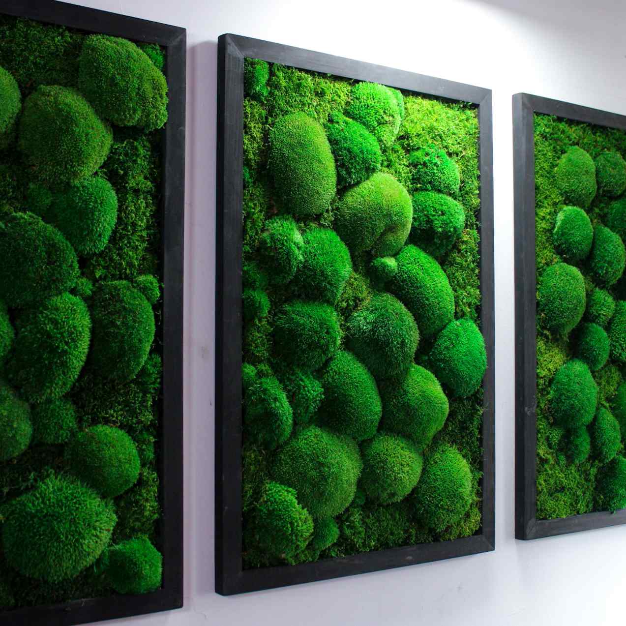 Preserved moss wall decor 