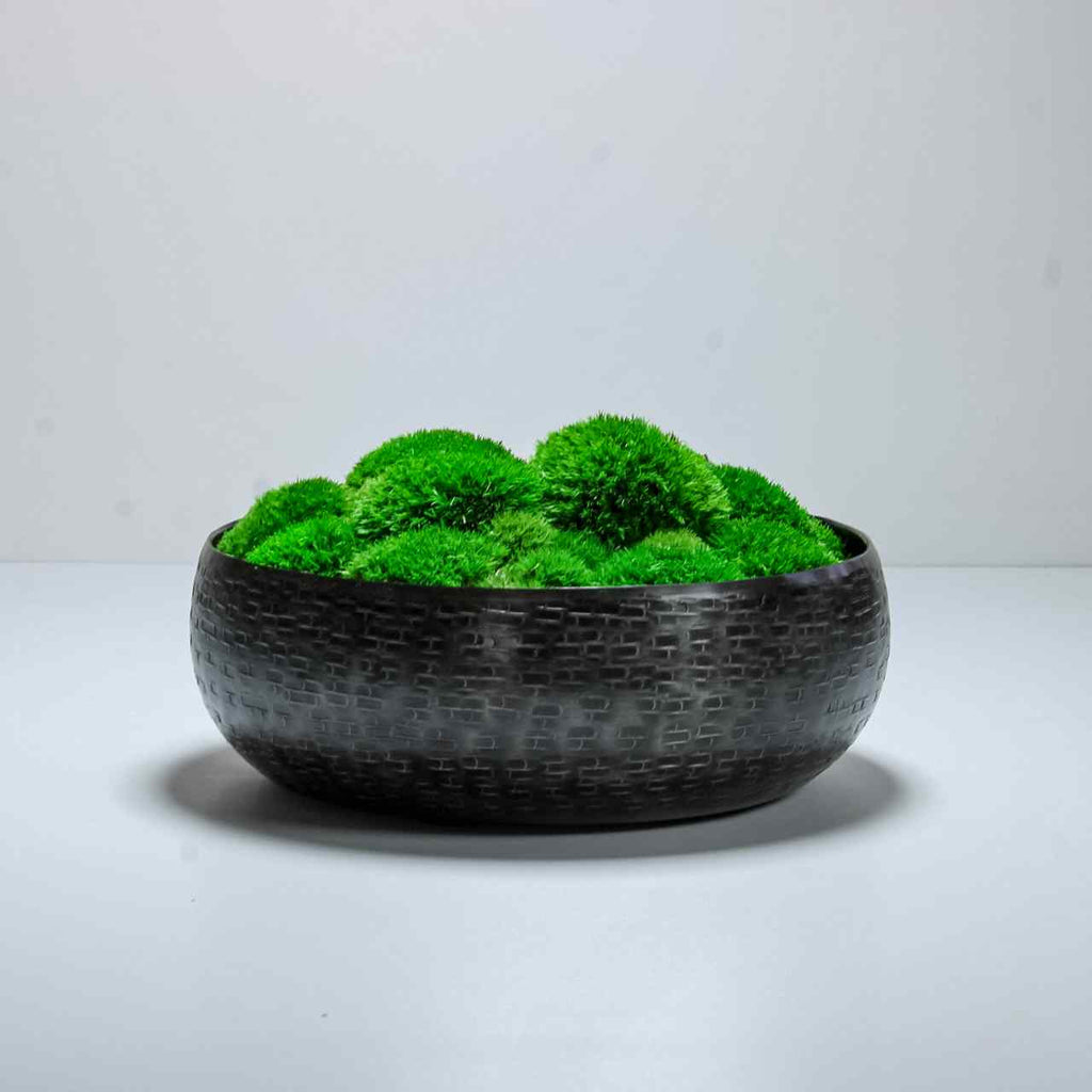 Moss in Linear White Bowl, Moss Balls In White Bowl