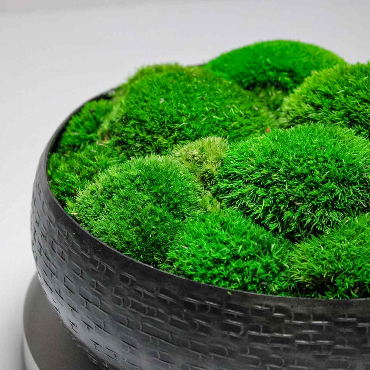 Handmade moss bowls UK