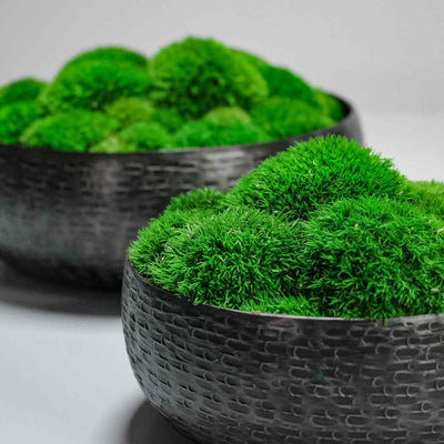 Two deocrative moss bowls handmade in Bristol