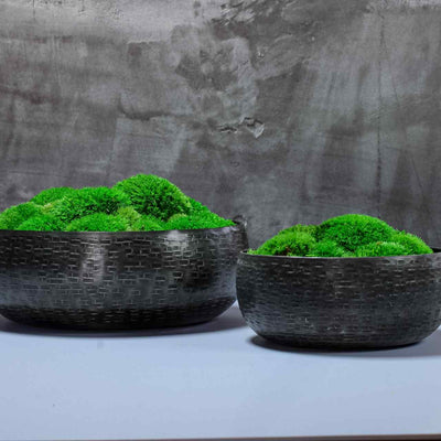 Moss bowl centrepieces