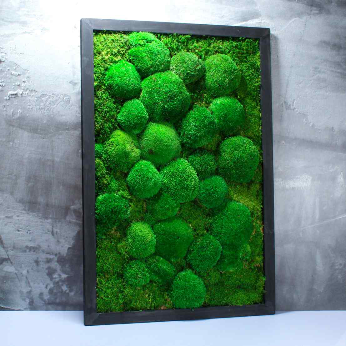 Shop moss frames UK