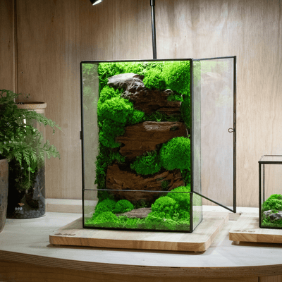 Moss Box V2