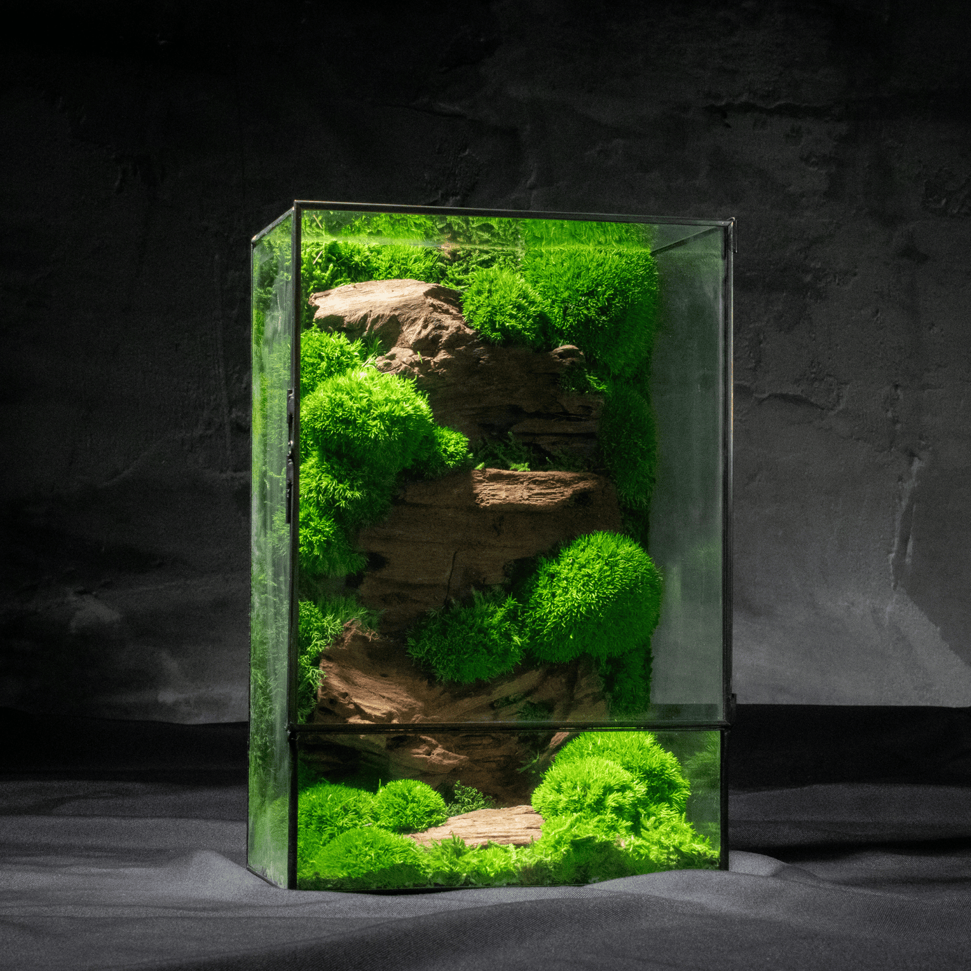 Moss Box V2