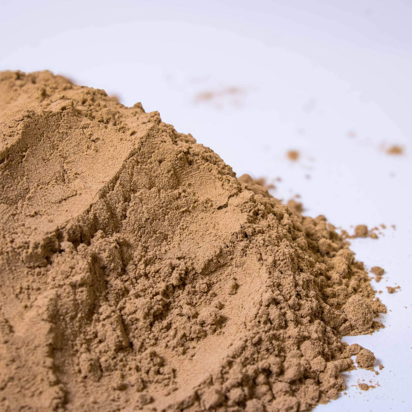 Bag of natural clay powder, ideal for creating sticky substrate in terrariums, promoting healthy root growth and moisture retention.