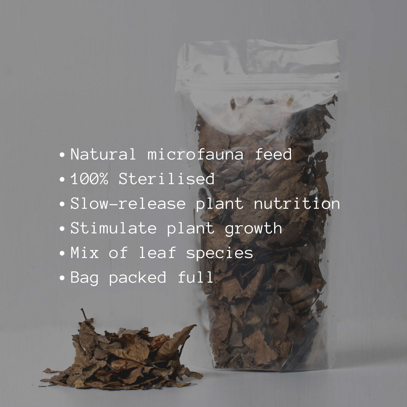 Dried, sterilised leaves packaged for use as natural microfauna food and bioactive substrate in closed terrarium ecosystems.