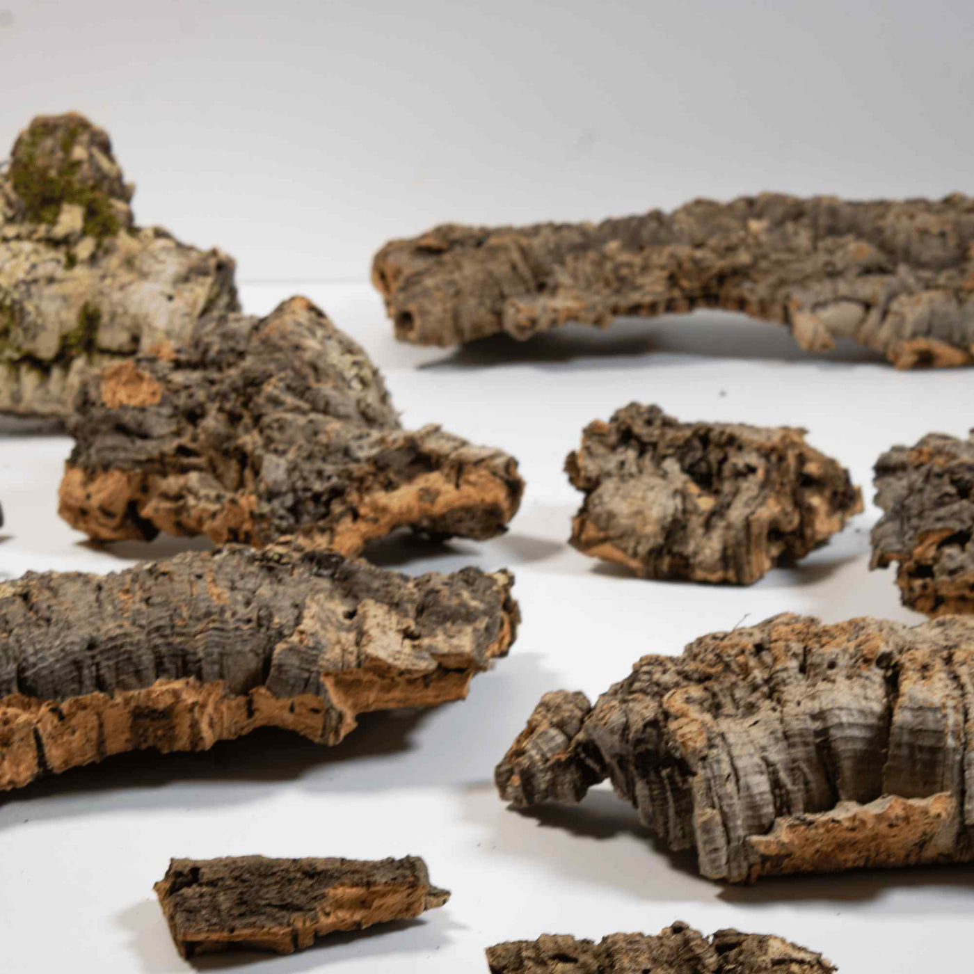 Cork Bark | For Sale | ome