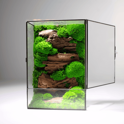 Moss Box V2