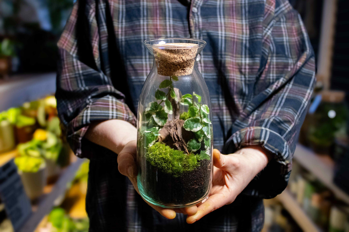 Bottled jar terrarium craft set - a perfect gift!