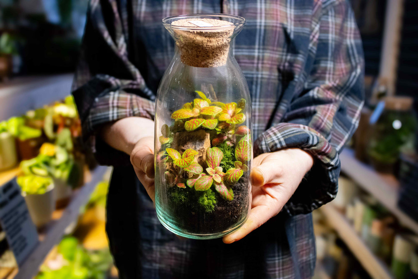 Handmade bottle terrarium kit - for sale in the UK
