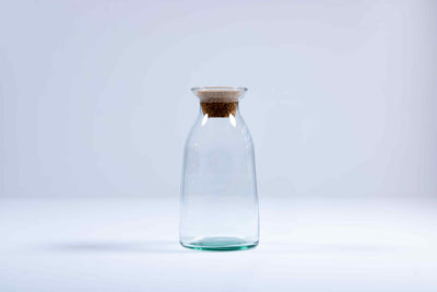 DIY bottle terrarium kit 