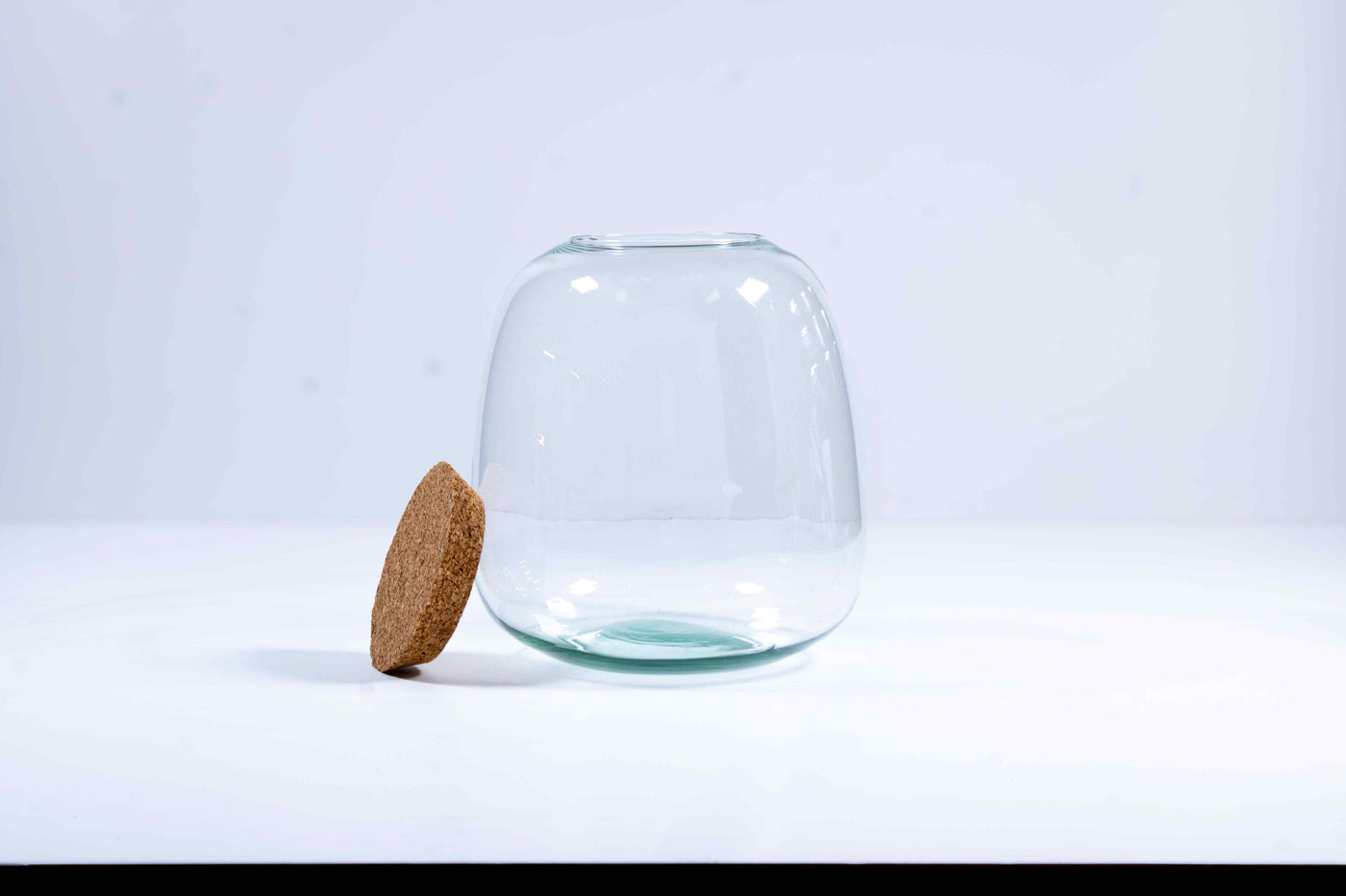 Glass terrarium jar with cork lid