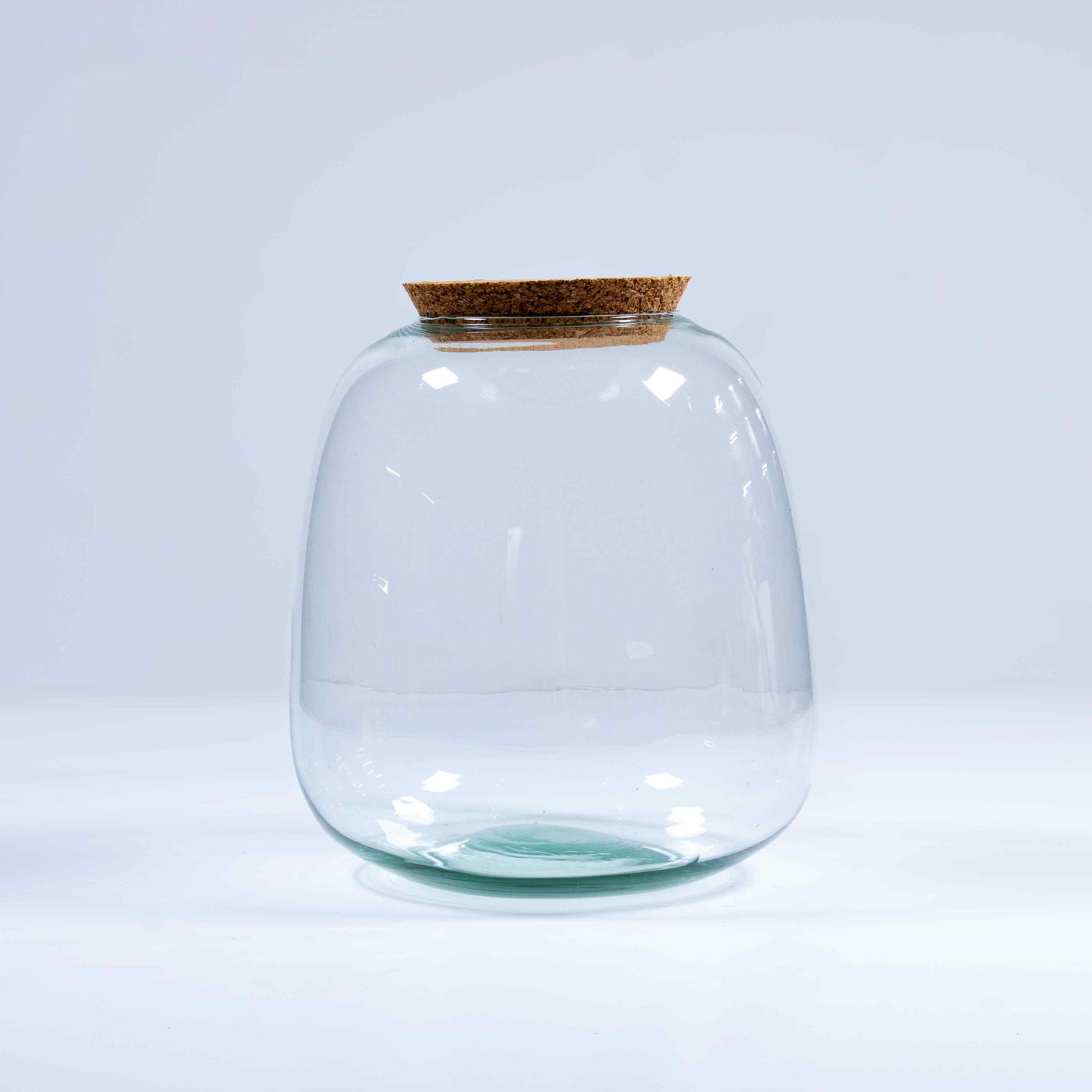 Bulb terrarium container with cork lid from ome