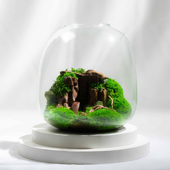 Grotte Pour Aquarium En 3D - Refuge Naturel Pour Poissons (Bettas, Corydoras, Guppys, Cichlidés) - Tunnel Décoration Stable Avec Base Lestée