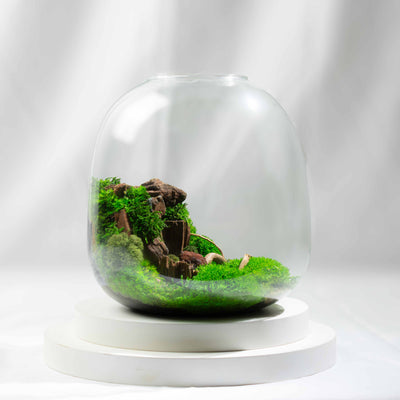 Artisan-made terrarium with stabilised moss—zero-maintenance plant décor that suits all ages and makes a unique, nature-inspired gift.