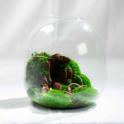 Moss terrarium with rocks inside a glass dome on a white background