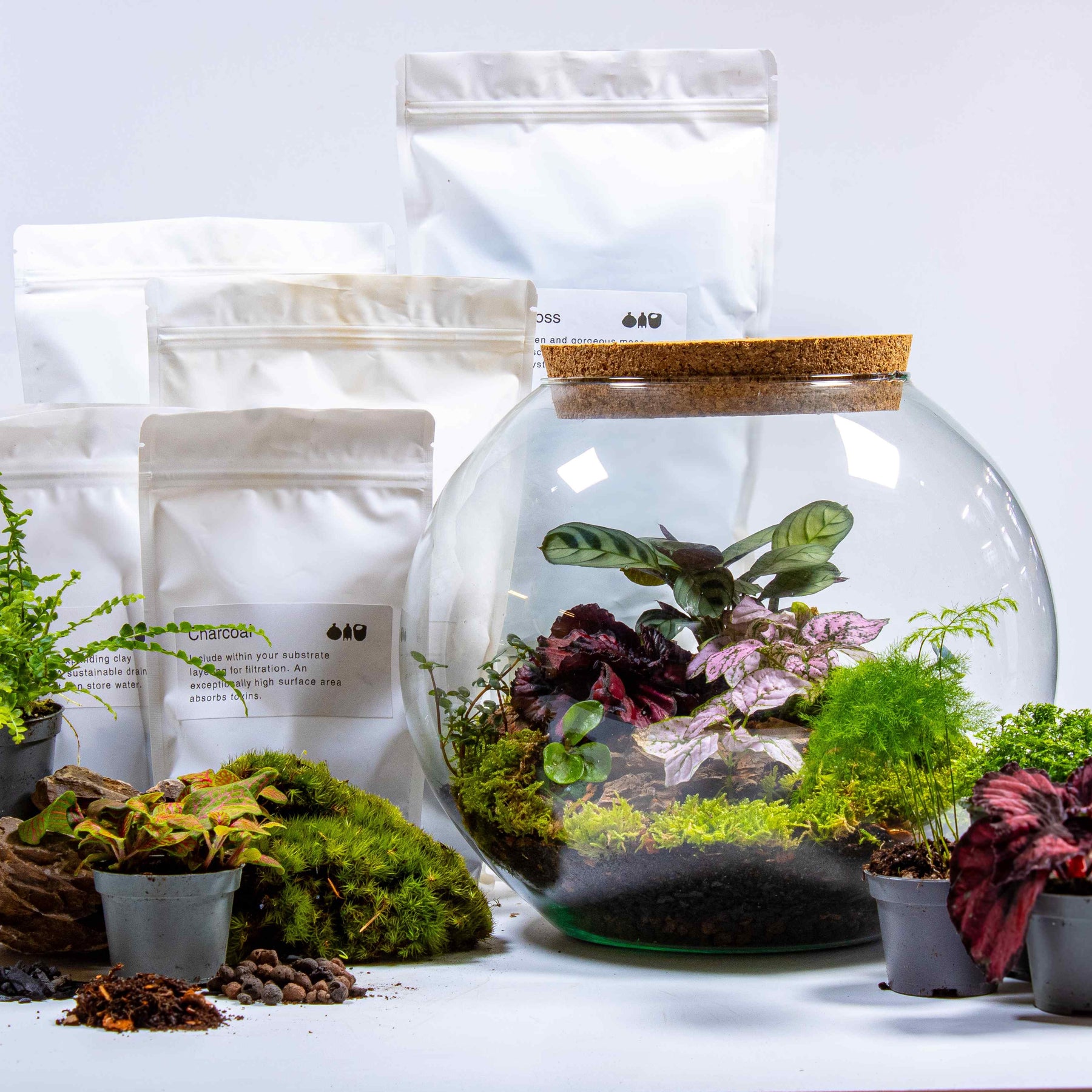 Create a botanical wonderland with our spacious terrarium kit, perfect for young adults.