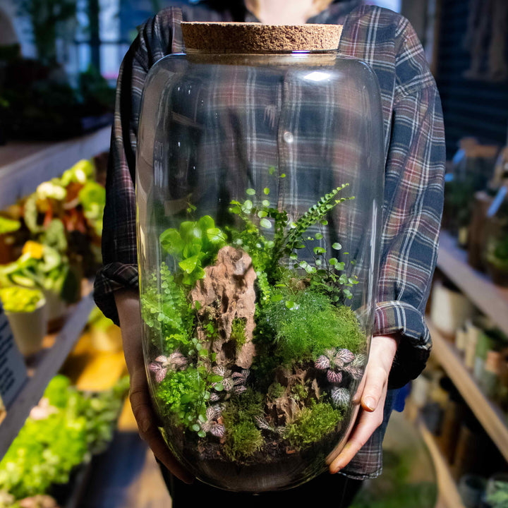 planted terrarium Tall | Terrarium Container | For Sale