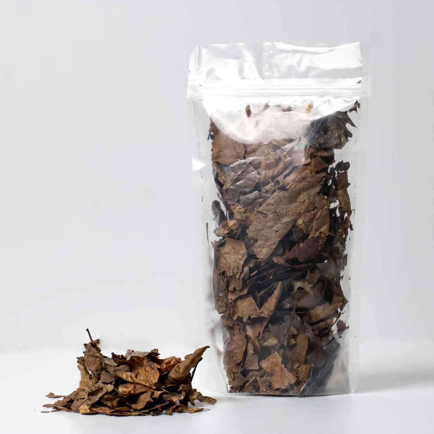 Organic leaf litter for vivariums and terrariums, supporting the clean-up crew like isopods and springtails in healthy bioactive setups.