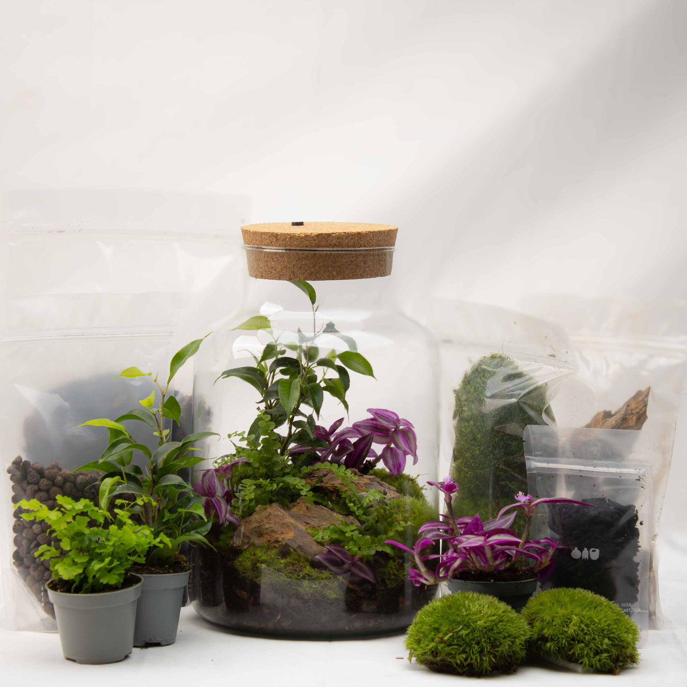 Illuminated terrarium jar with warm LED lighting, recycled glass, and natural materials for a stylish indoor plant display.