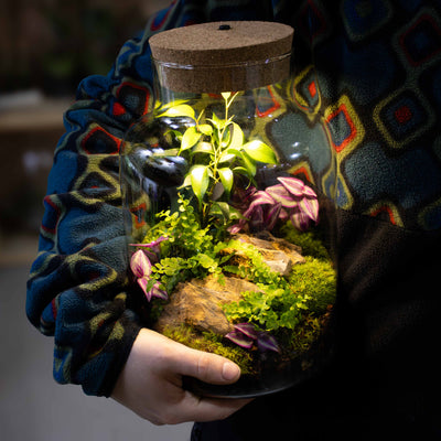 Light-Up Terrarium Kit V2 with warm LED lid and handmade recycled glass jar, perfect for creating a self-sustaining miniature ecosystem.