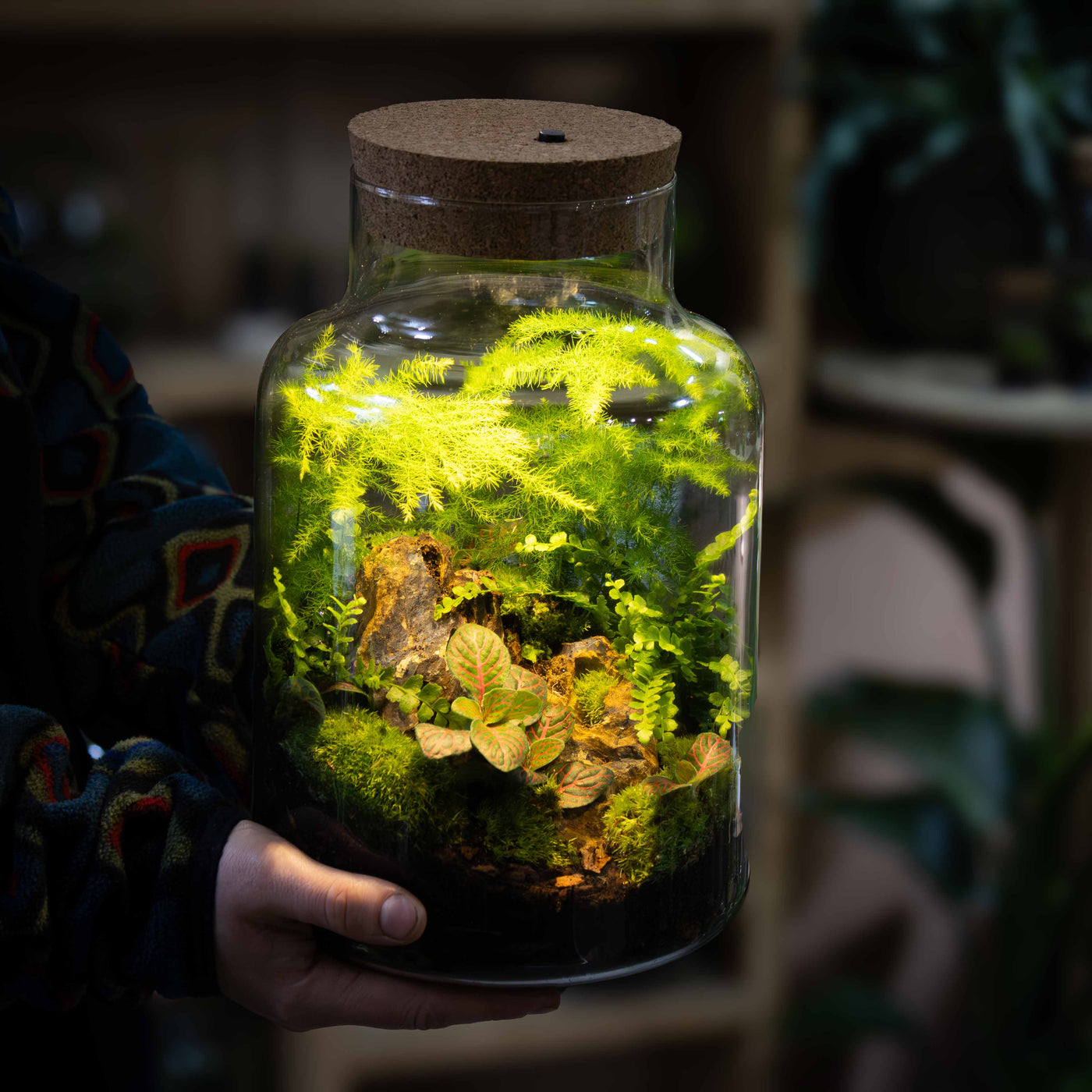 LED terrarium lid glowing warm light over moss and plants inside a recycled glass container for modern interior décor.
