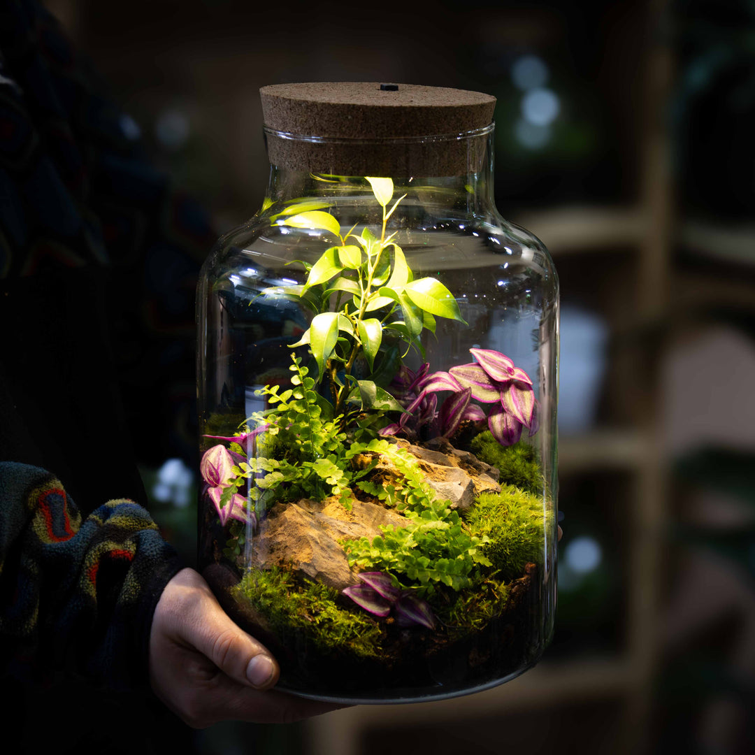 artificial plant terrarium DIY Light-up Terrarium Kit V2 | For Sale