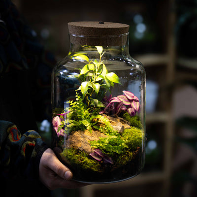 Handmade recycled glass terrarium jar with integrated LED light, ideal for gifting or adding greenery to small spaces.