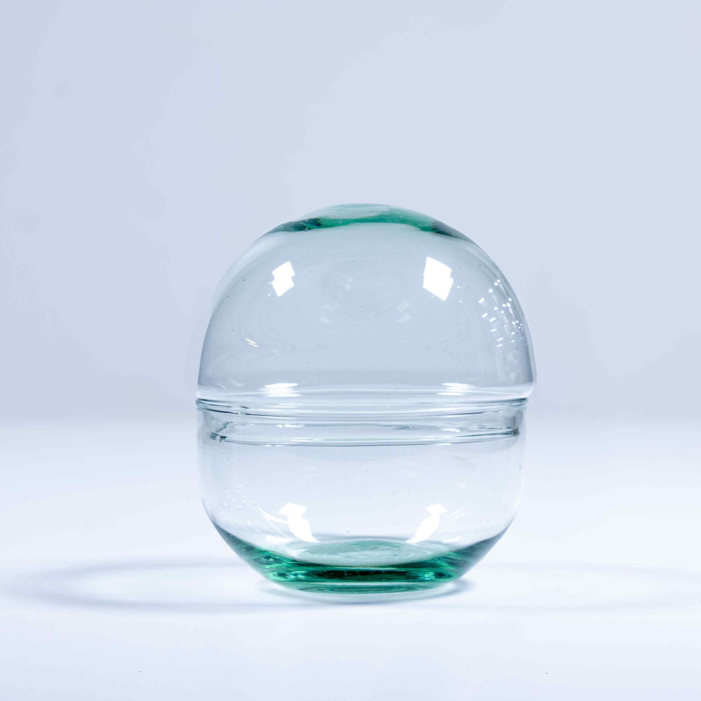 Mini Orb terrarium container