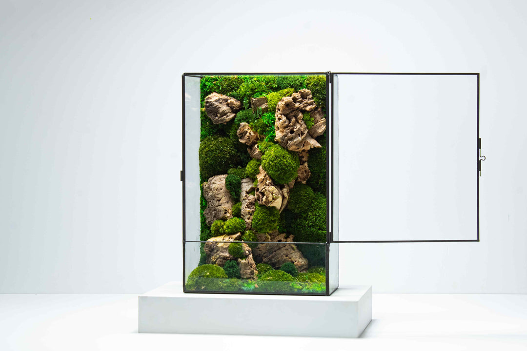 レイアウト用品 GLASS TERRARIUM 3045 爬虫類ケージ GEX エキゾテラ グラステラリウム 3045 + アクロ