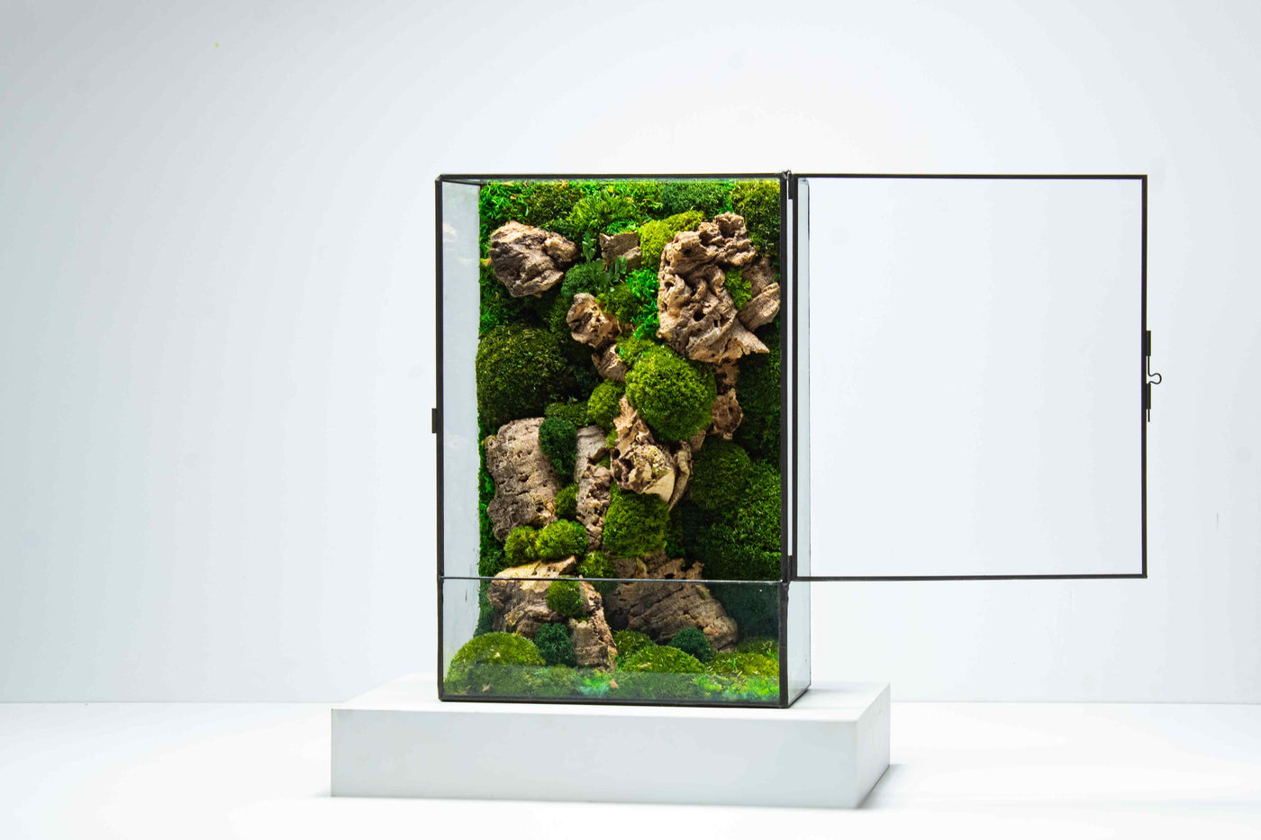 Geometric glassware Moss Box terrarium: Ideal for tabletop display.