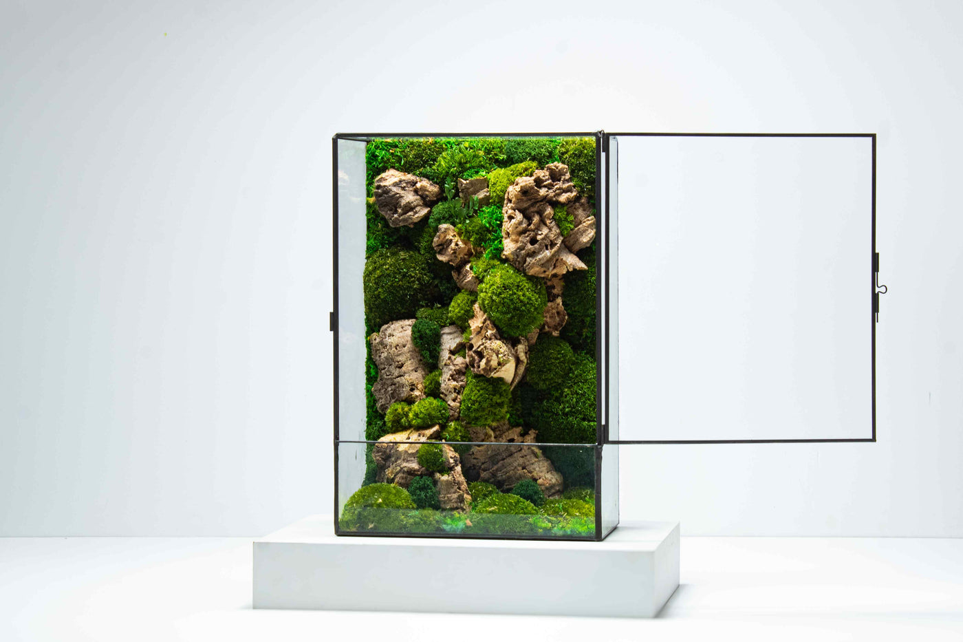 Buy The Moss Box | Zero-maintenance Terrarium | For Sale | ome