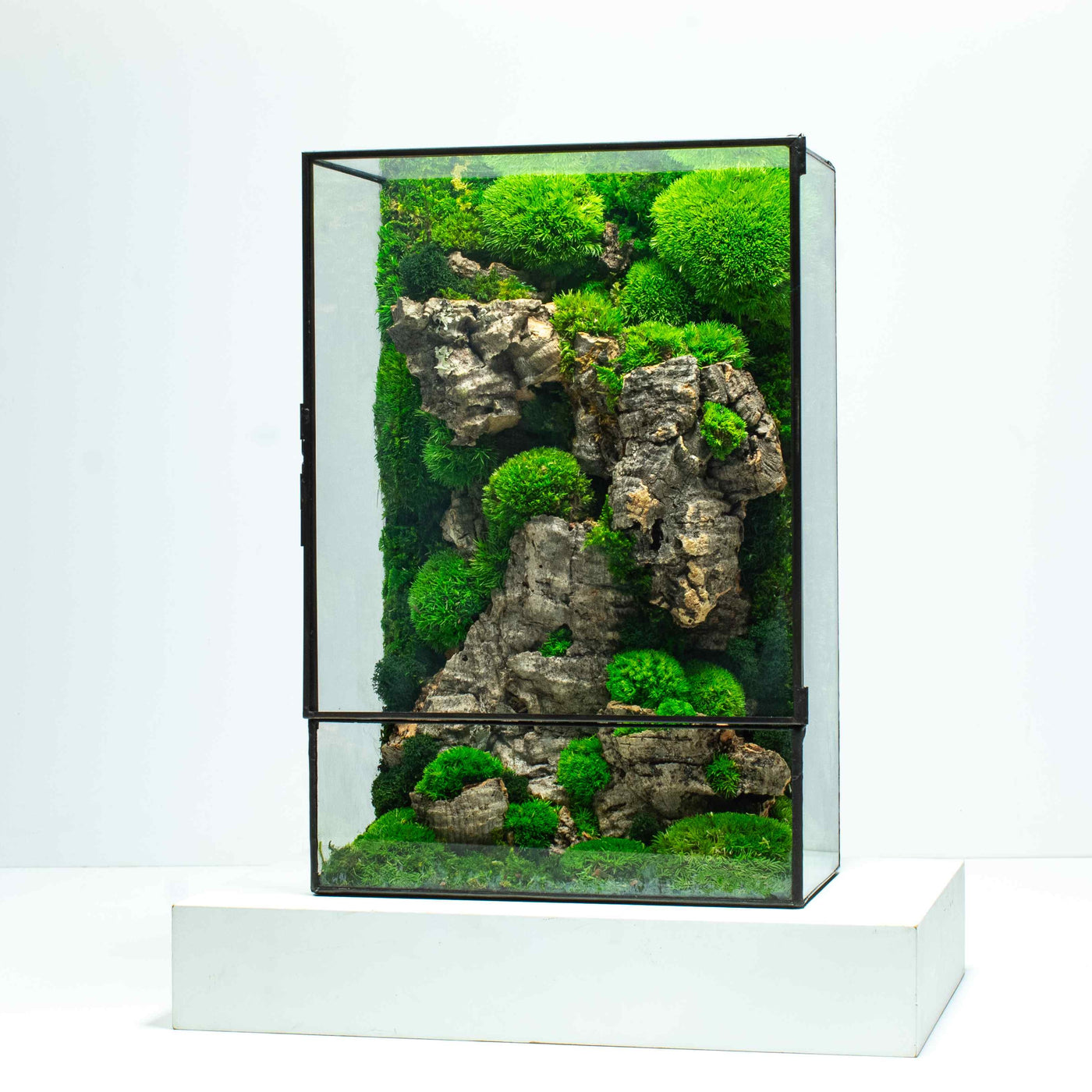 Geometric terrarium with the Moss Box: Zero maintenance, vibrant greenery.