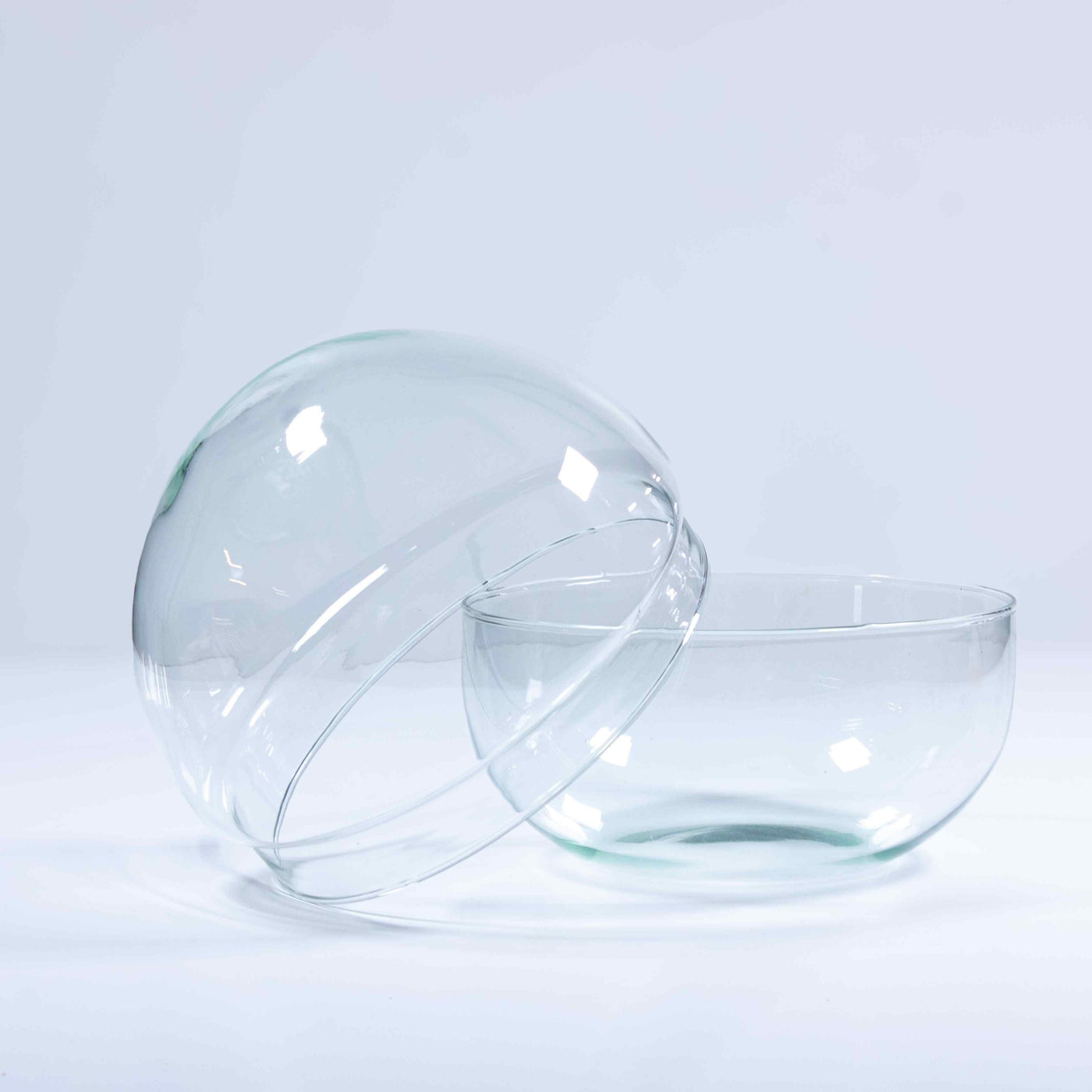 Spacious terrarium glass: The foundation for your botanical masterpiece.