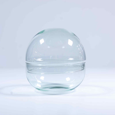 Beautiful glass vessel for terrarium making
