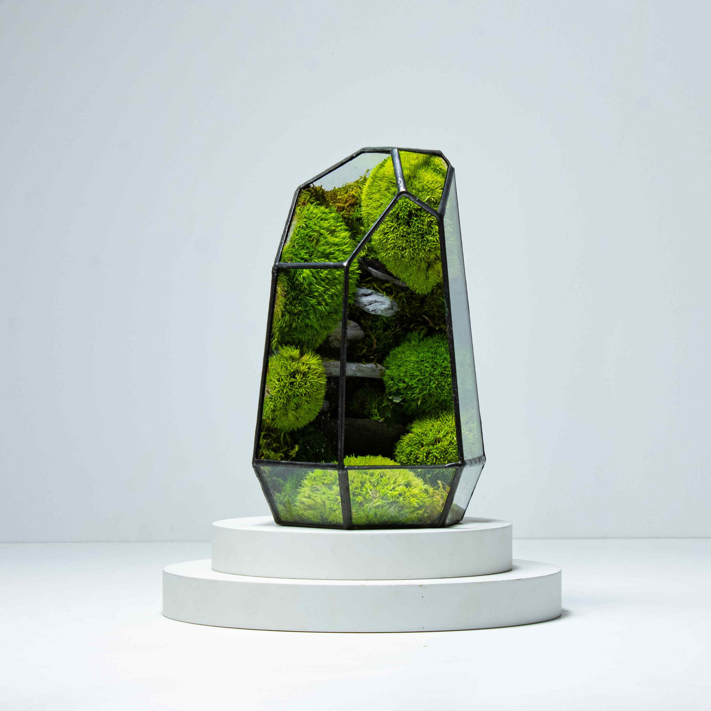 Geometric terrarium centerpiece: Vibrant, preserved greenery in glass.