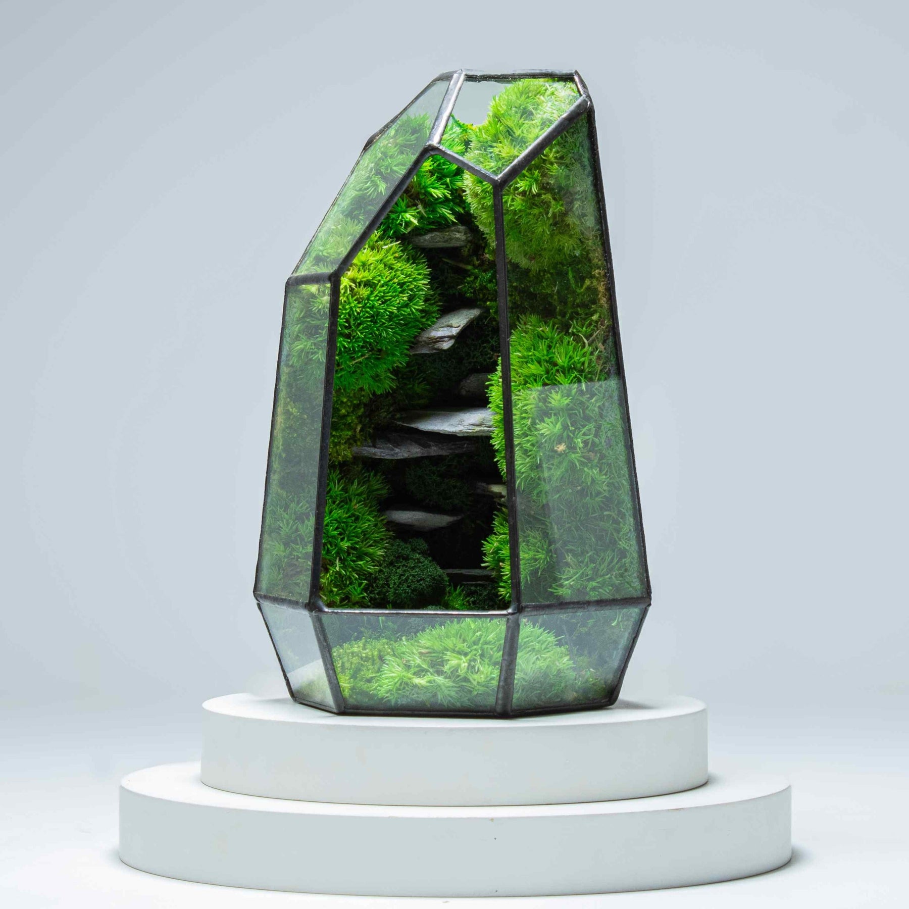 The Stone Prism Geometric Terrarium For Sale Ome the-stone-prism-geometric-terrarium-for-sale-ome