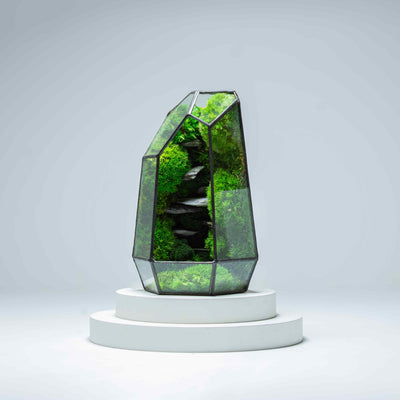 Geometric glass terrarium: Luscious greenery, perfect desktop companion.