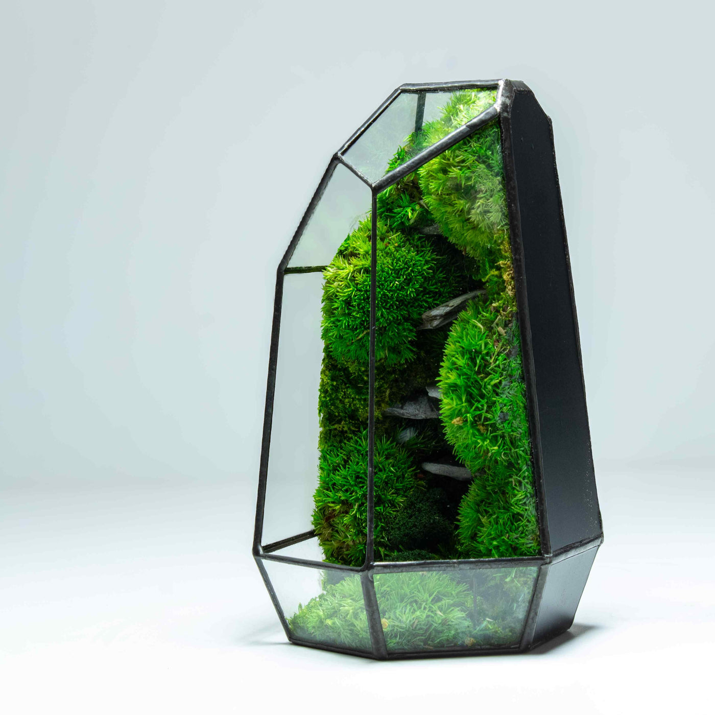 Luscious green terrarium: Zero maintenance, geometric glassware design.
