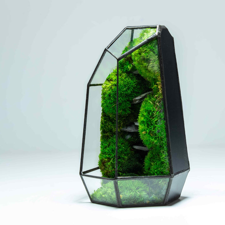 レイアウト用品 GLASS TERRARIUM 3045 グラステラリウム3045 エキゾテラ GEX ガラス飼育ケージ 販売 通販