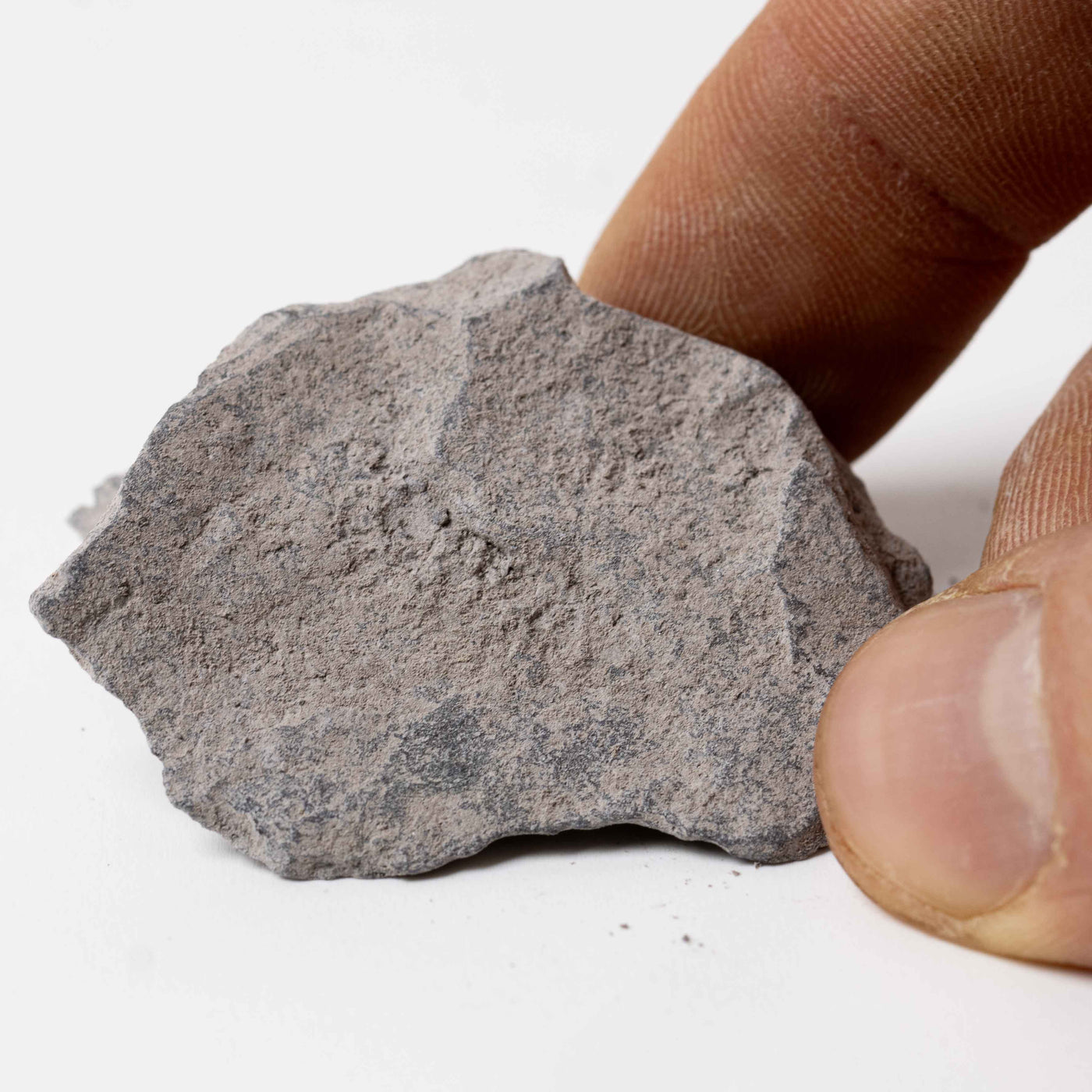 Flat slate rock fragments, used to shape terrain and add contrast in terrariums, vivariums, and underwater plant environments.