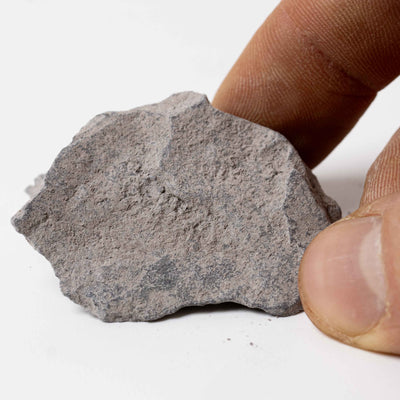 Flat slate rock fragments, used to shape terrain and add contrast in terrariums, vivariums, and underwater plant environments.