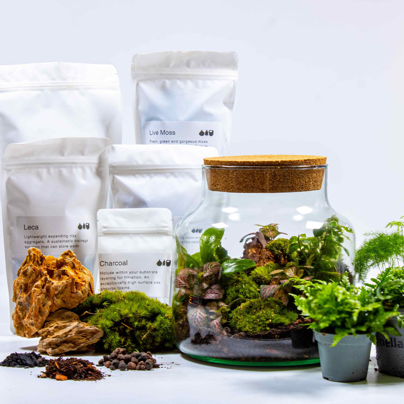 Create your own botanical haven with our classic terrarium kit.