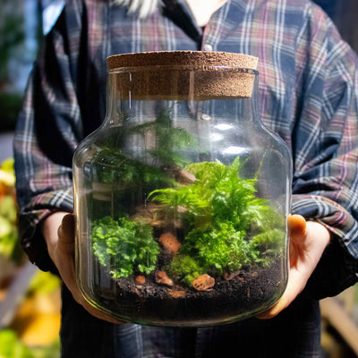 Craft your own miniature garden with our classic terrarium kit.