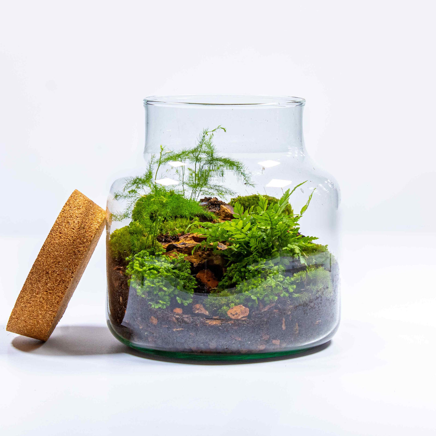 Discover the joy of gardening indoors with our all-inclusive classic terrarium kit.